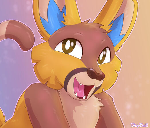 icon2 icon2